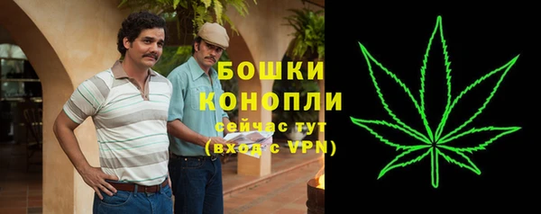 стаф Магас