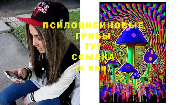 стаф Магас