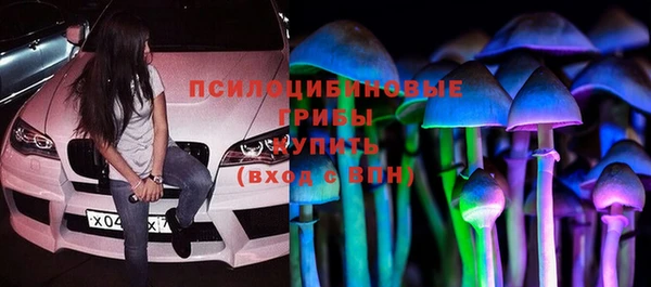 стаф Магас
