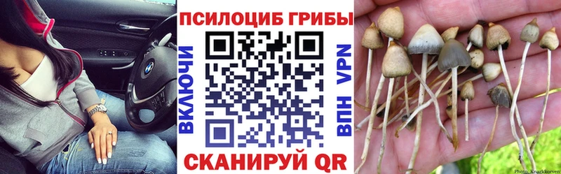 Псилоцибиновые грибы мицелий  наркотики  Юрга 